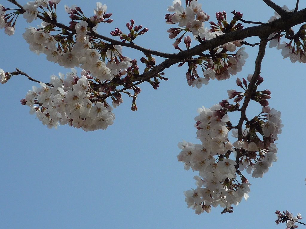 日向ぼっこ日和