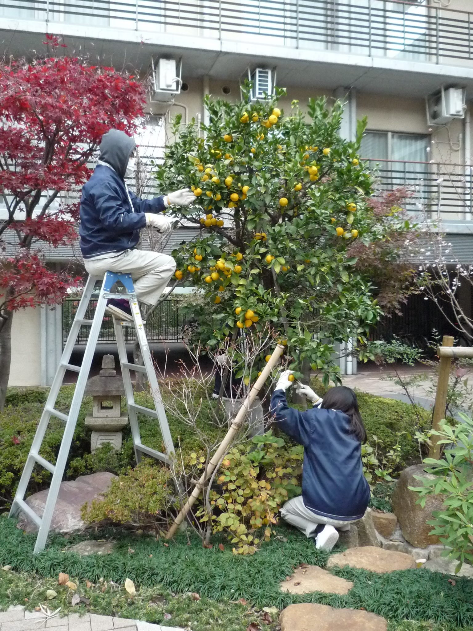 もうすぐ冬至