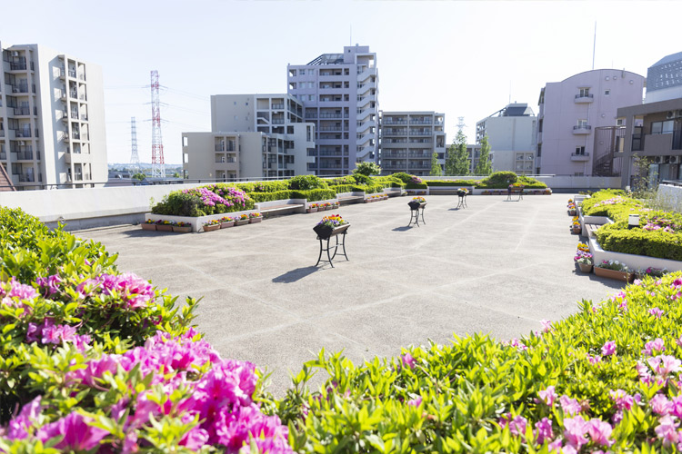 屋上庭園