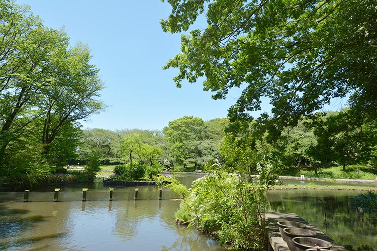 せせらぎ公園