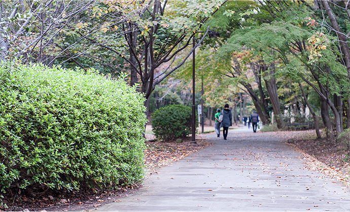 近隣の散歩など自由気ままな生活してるよ。